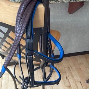 Blue padded Havana bridle